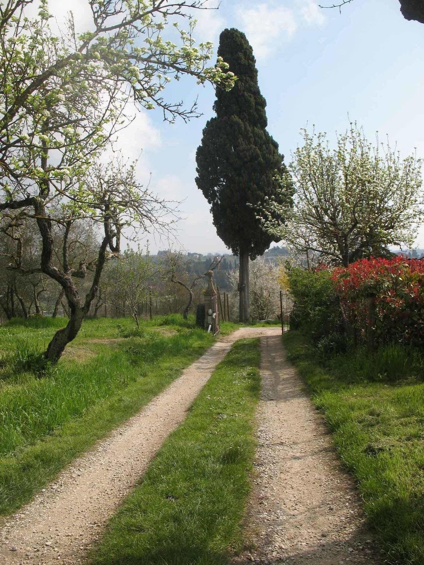 Agriturismo La Torretta Costalpino Екстериор снимка